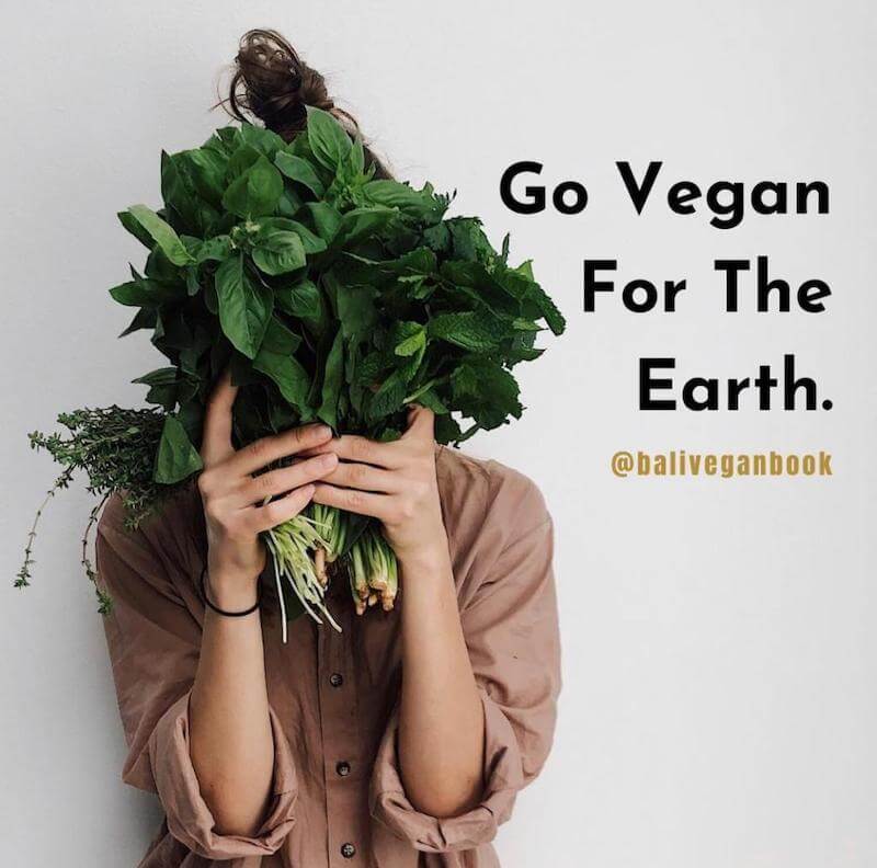 woman holding fresh greens in front of her face, bali vegan book 