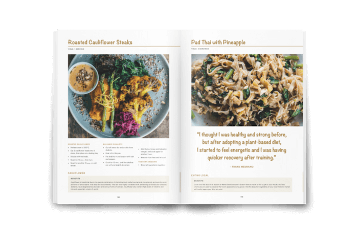 Bali Vegan Book opened and showing Roasted Cauliflower Steaks from The Shady Shack and a Pad Thai recipe. 